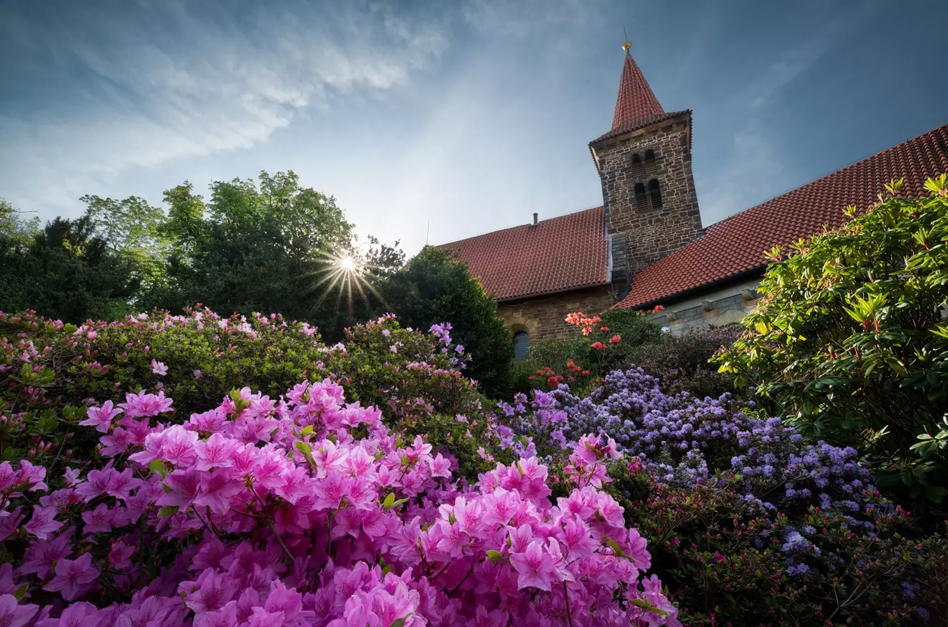 Objevte tajemství krásy rododendronů v zámeckém parku Průhonice