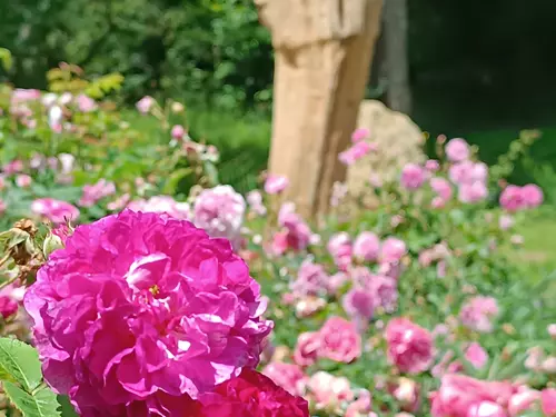 Stolístková zahrada Žítková