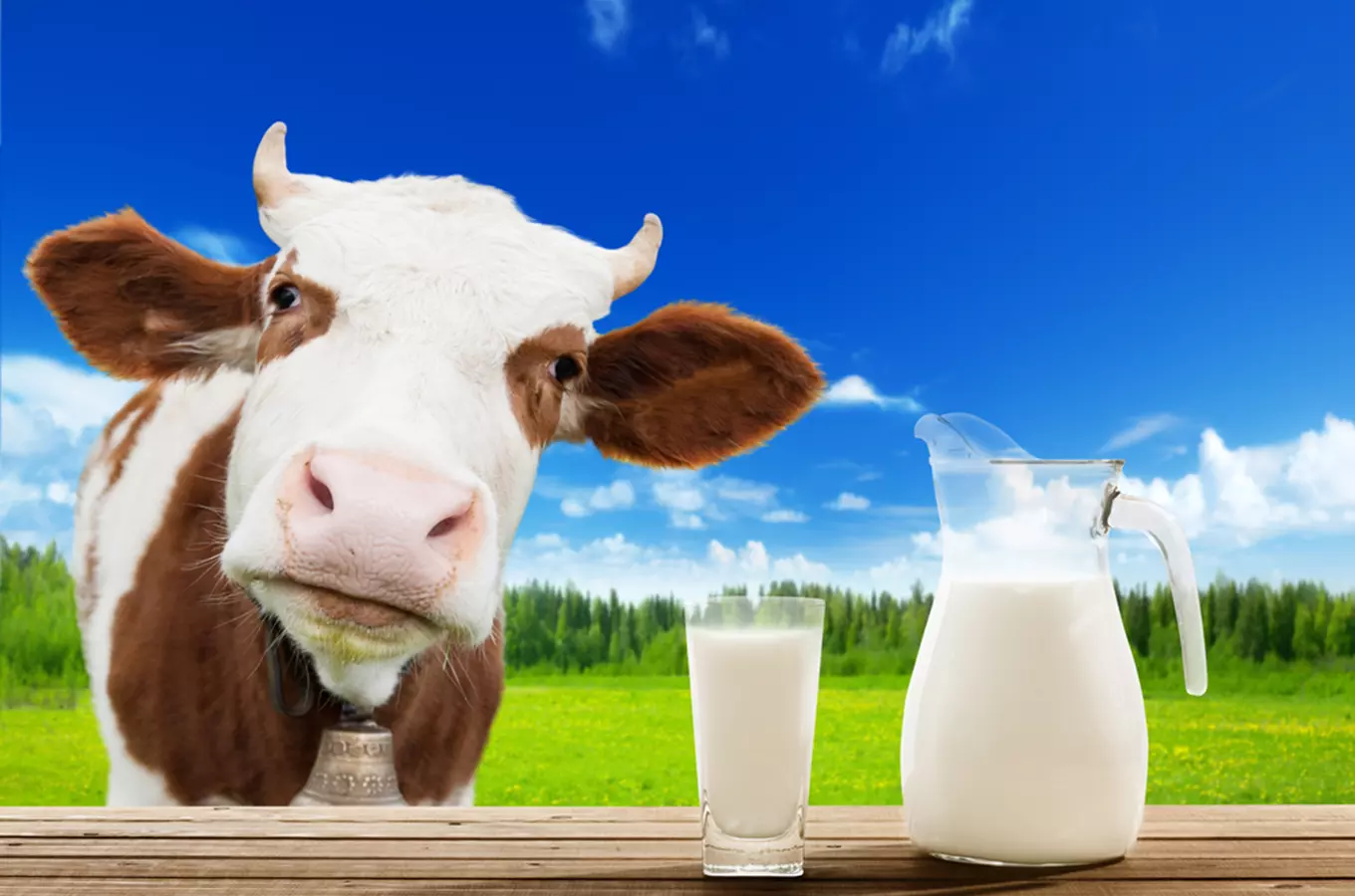 Mlékomaty farmy Kolný v Českých Budějovicích - od kravičky přímo k vám