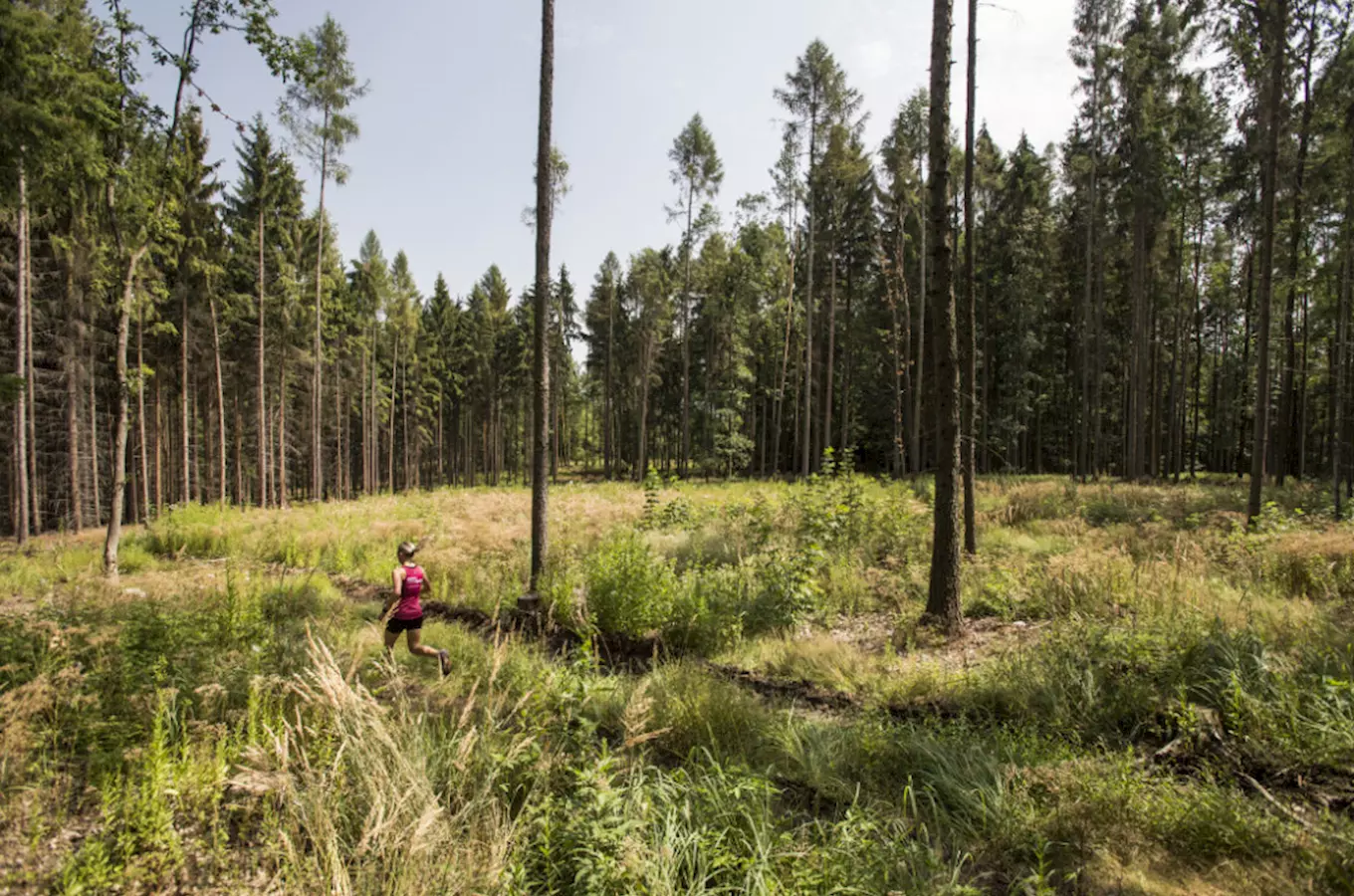 V Liberci se poběží Nature Run