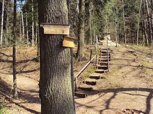 Lesnická naučná stezka Zákupy