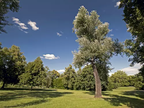 Chotkovy sady – první veřejný park v Praze