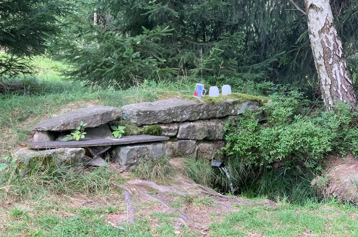 Studánka