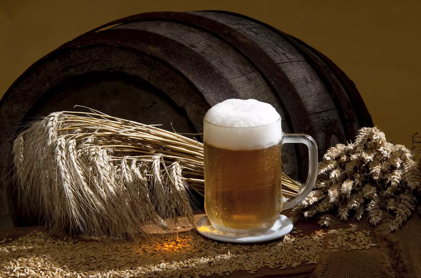 Žatec – místo, kde jsou chmel a pivo doma