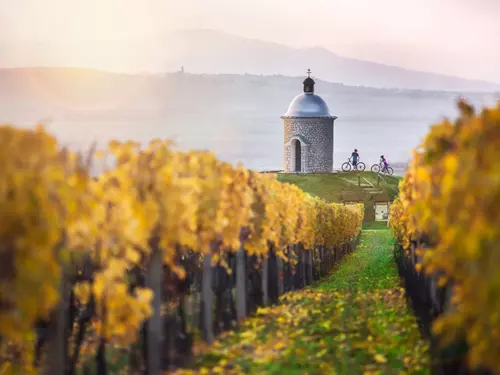 Tradice, Jihomoravský kraj: skvělé jídlo, víno, vinařství i projížďky vinicemi na kole, Kudy z nudy