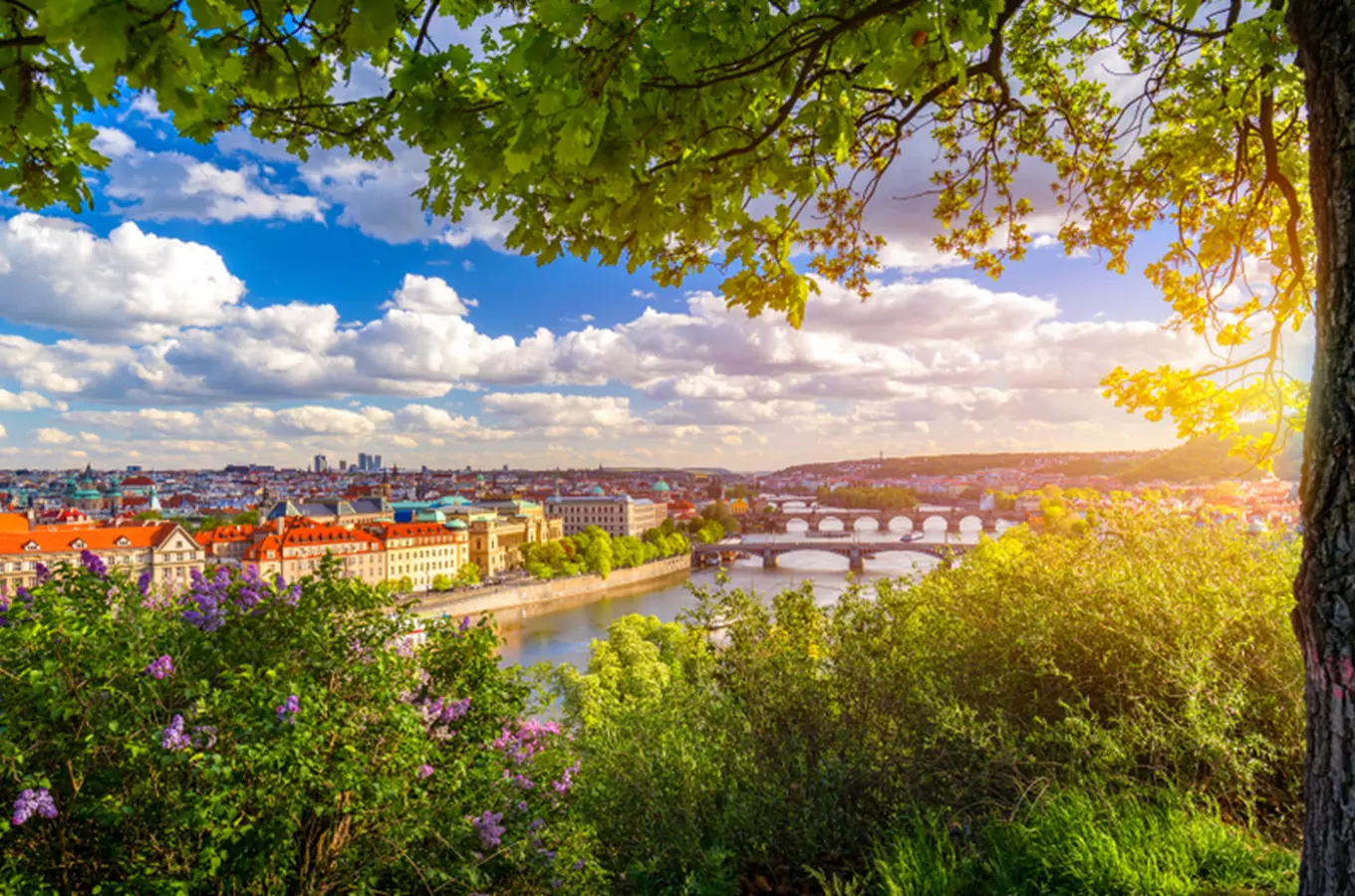 15 tipů na procházky po pražských parcích v babím létě