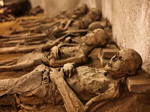 Mumie z Brna, od Kapucínů