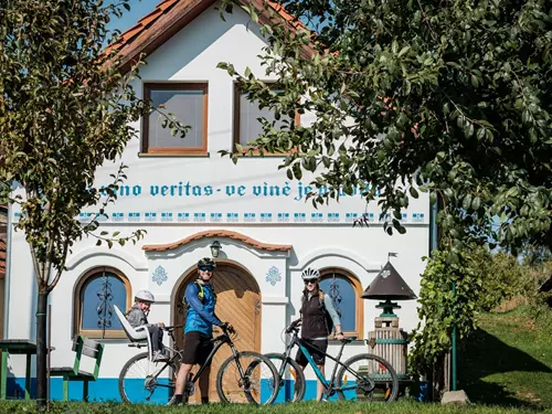 Krajem vína – Tour de burčák po vinařských stezkách Kyjovska