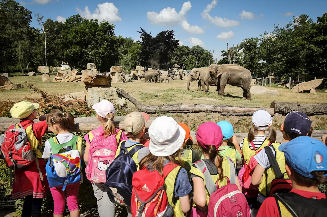 Den dětí v Zoo Praha