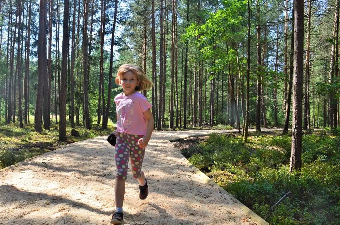 Lesní běžecká stezka v Hradci Králové