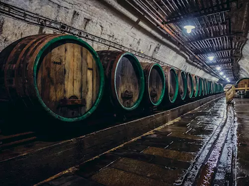 Bednářství nevymizí: Bednáří z Plzně zachovávají a rozvíjí tradiční pivovarské řemeslo