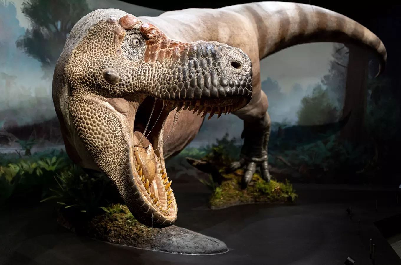 Jedno z největších soukromých muzeí dinosaurů na světě otevírá od října 2021 v Praze