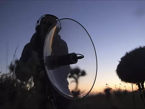 Sustain – Field recording a ekologická krize jako alarmující inspirace