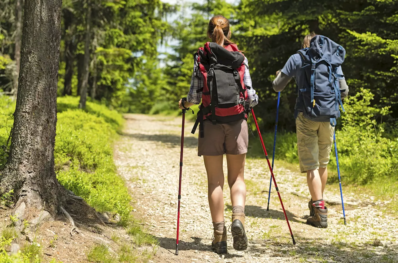 Naučná stezka Obora Lomnice v Lomnici u Tišnova