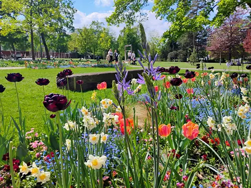 Park Komenského ve Zlíně