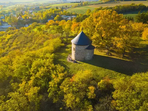 Věda a historie není nuda: hrady, kostely, města a stromy, které existují už tisíc let