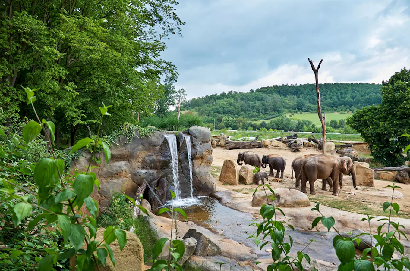 Nejnavštěvovanější turistické cíle v kategorii Zoo, zahrady a akvária