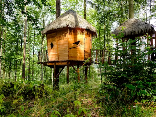 Tree House Sojčí hnízdo – ubytování v korunách stromů