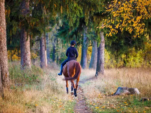 jízdy na koních v přírodě, podzim, kudy z nudy