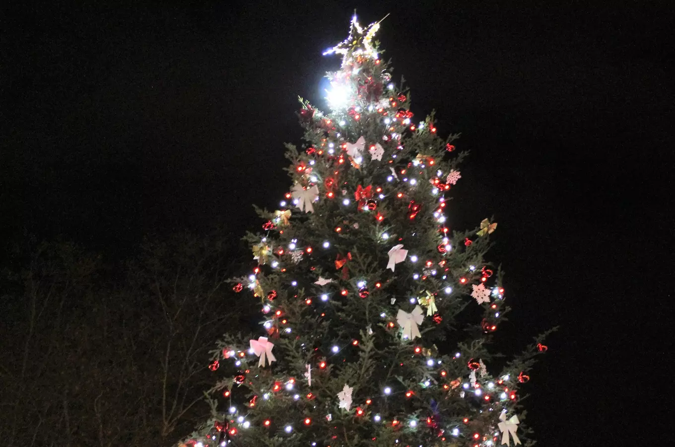 Zvonkový průvod a rozsvícení vánočního stromu