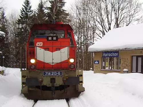 Zdroj foto: zubacka.cz