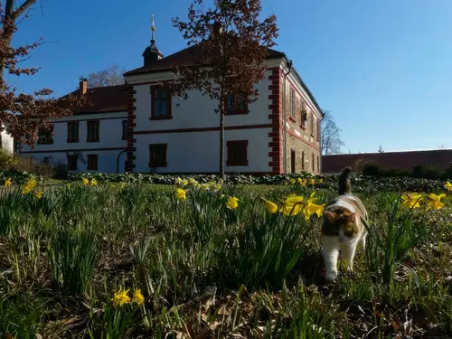 Zámek Třebešice u Benešova