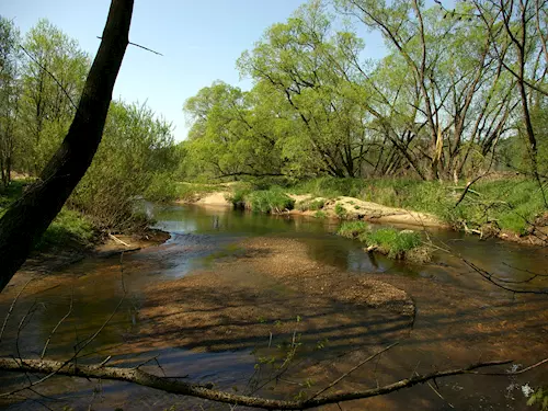Přírodní rezervace Meandry Smědé na Frýdlantsku