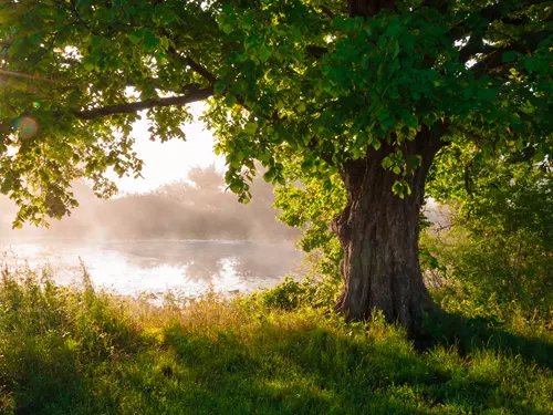 Ilustrační foto: Shutterstock