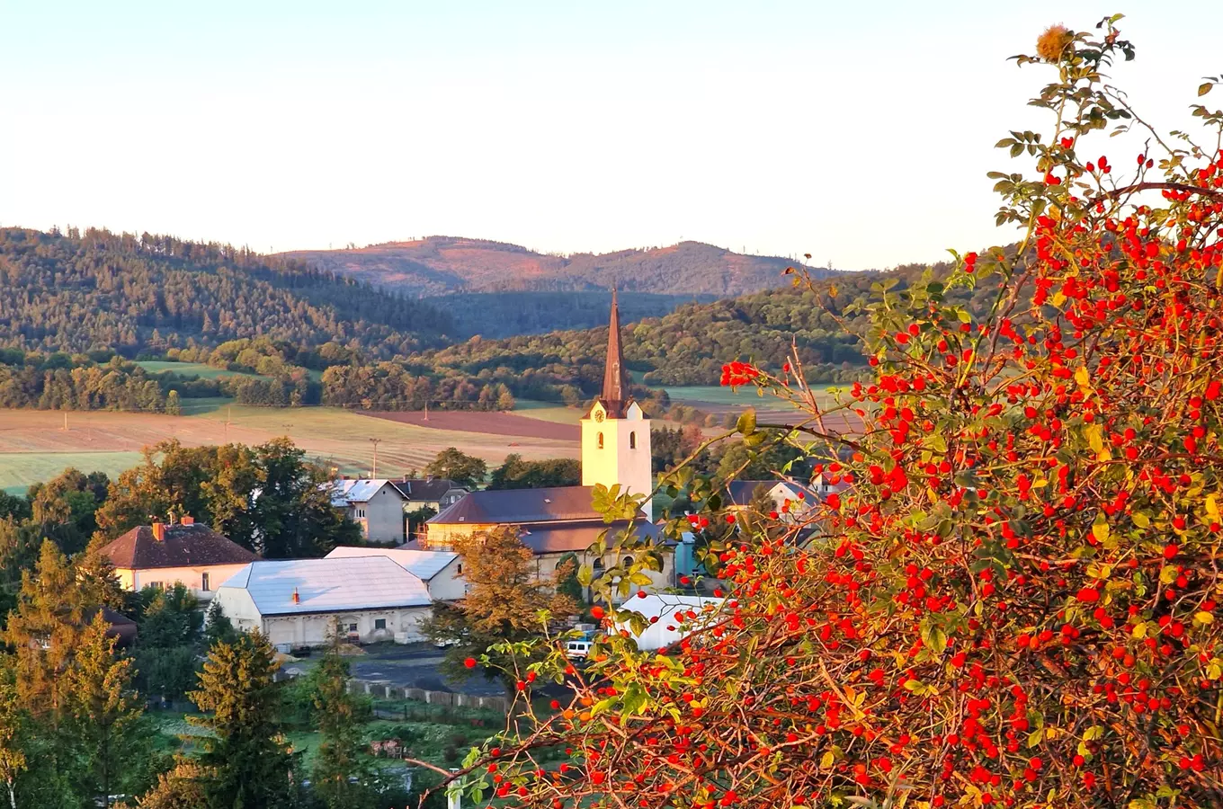 Jindřichov