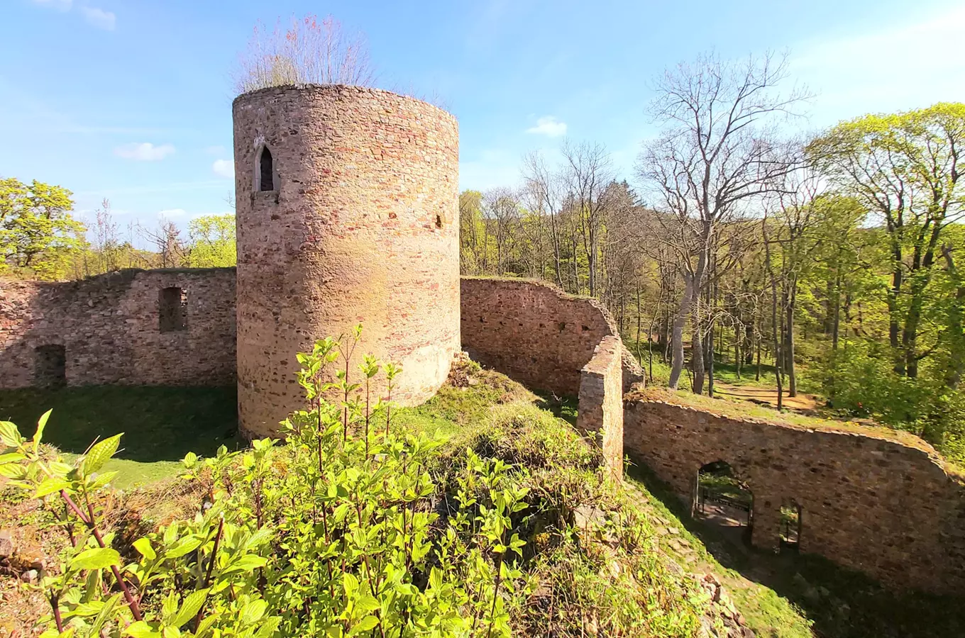 Vycházka ke hradu Valdek