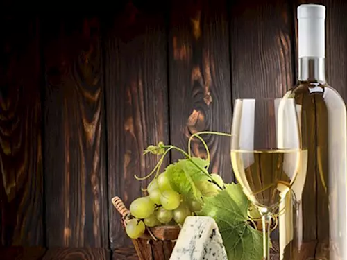 Vinum Juvenale, výstavy a košty: Tipy, kde ochutnáte dobré víno