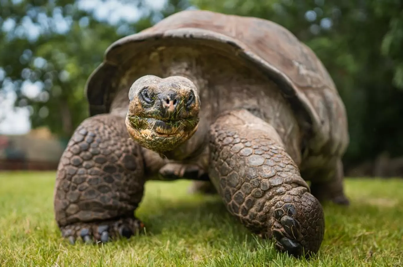 Den chovatelů želv v Zoo Praha