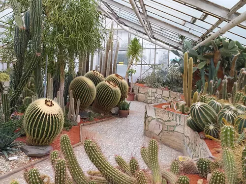 Kaktusový skleník, sbírkové skleníky Olomouc, kudy z udy