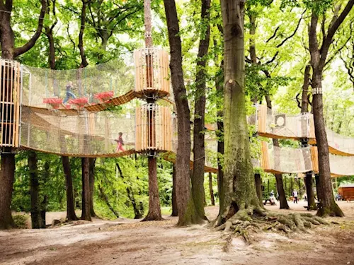 3D bludiště v korunách stromů v Oseku