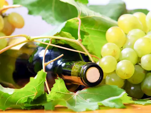 Víno Hort – víno s 5V