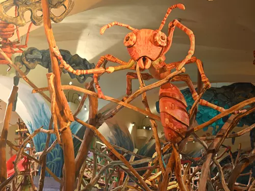 Expozice Mraveniště v písecké Sladovně vás přenese do mravenčího světa