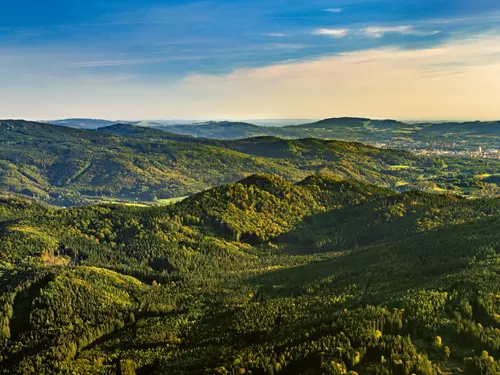 Národní přírodní rezervace Jizerskohorské bučiny, kudy z nudy