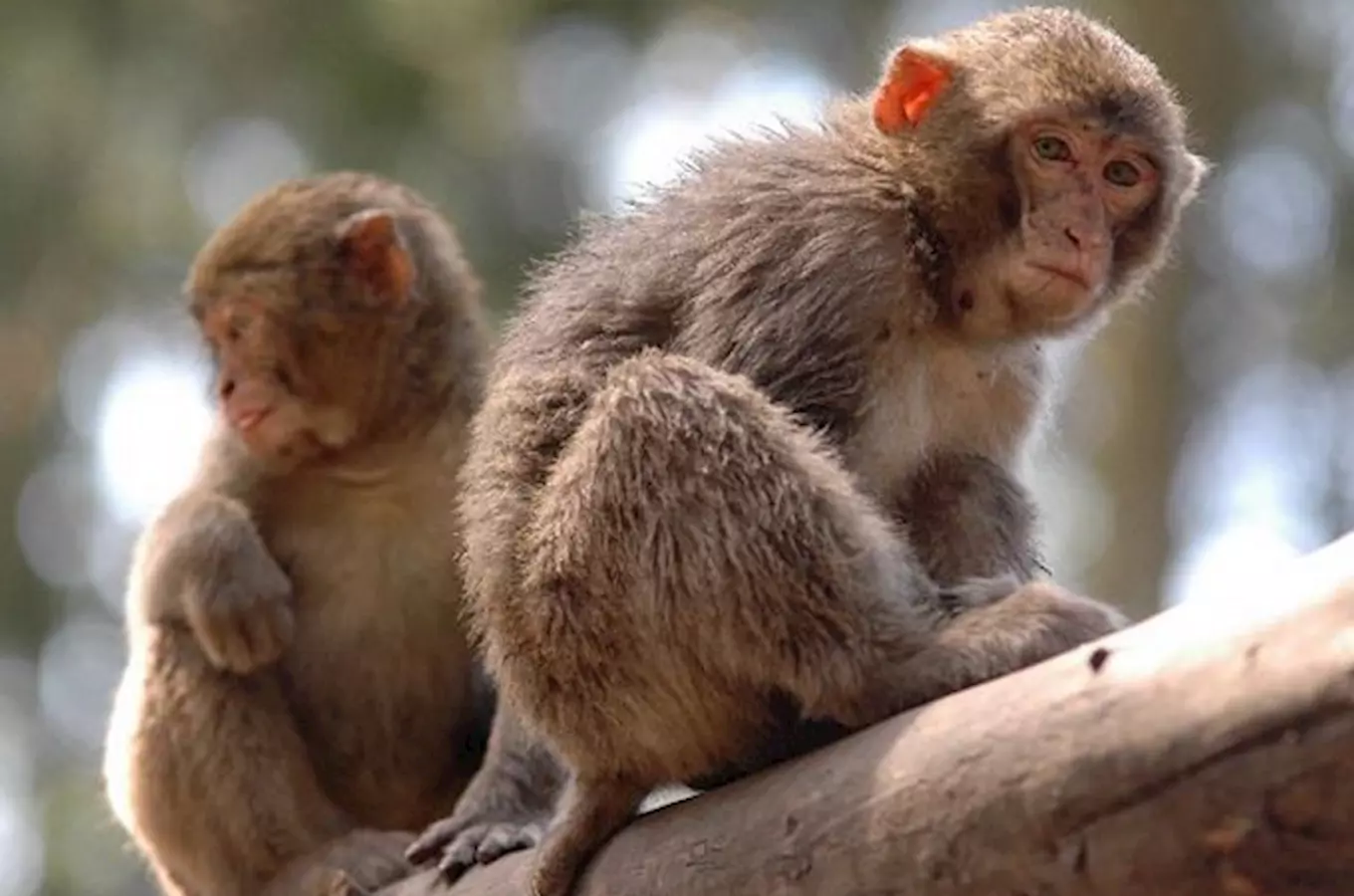 Zoo Olomouc láká na prázdninové soutěže a novinky