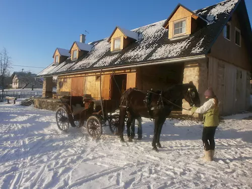 Farma Kotelsko – koně, jízda kočárem i ubytování