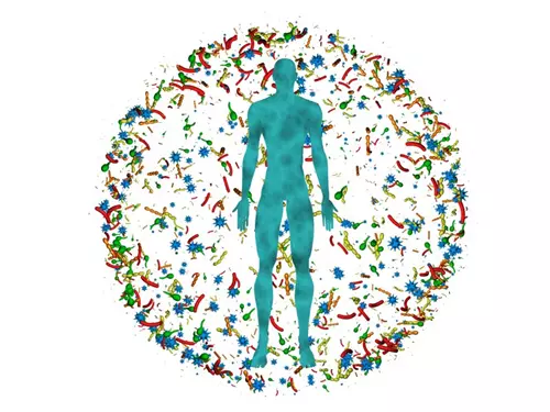 Mikrobiom a my – Mikroochranismy: Jak mikrobiom pomáhá naší imunitě?