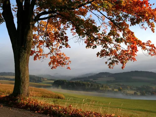 Zdroj foto: Sdružení obcí Orlicko