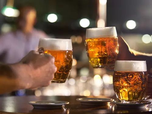 7 věcí, které nevíte o... českém pivu
