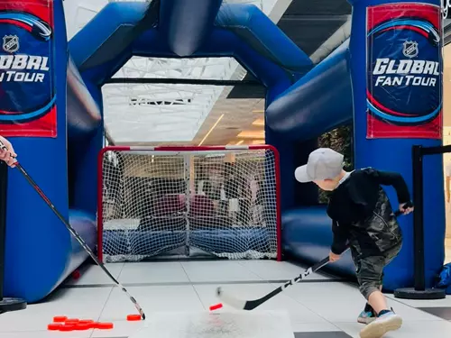 NHL tour