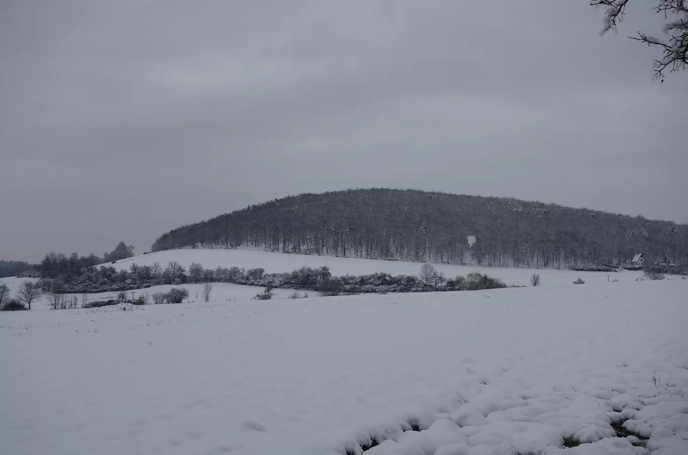 Kopec Ďábel nad Petrovem u Davle – geometrický střed Čech