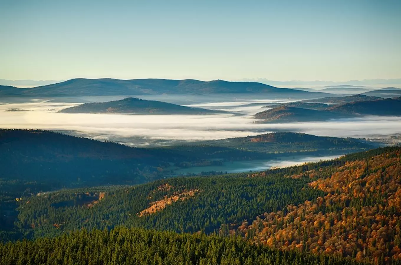 Národní přírodní rezervaci Boubín bude možné navštívit po nové trase 