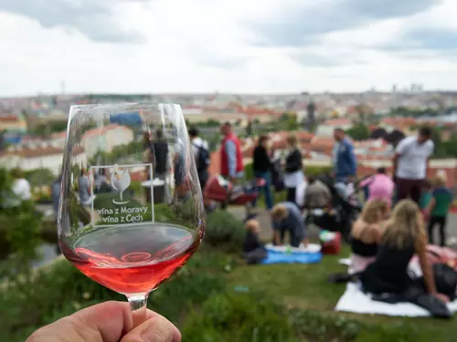 Oslavte svátek patrona české země na Svatováclavském vinobraní přímo na nejstarší české vinici