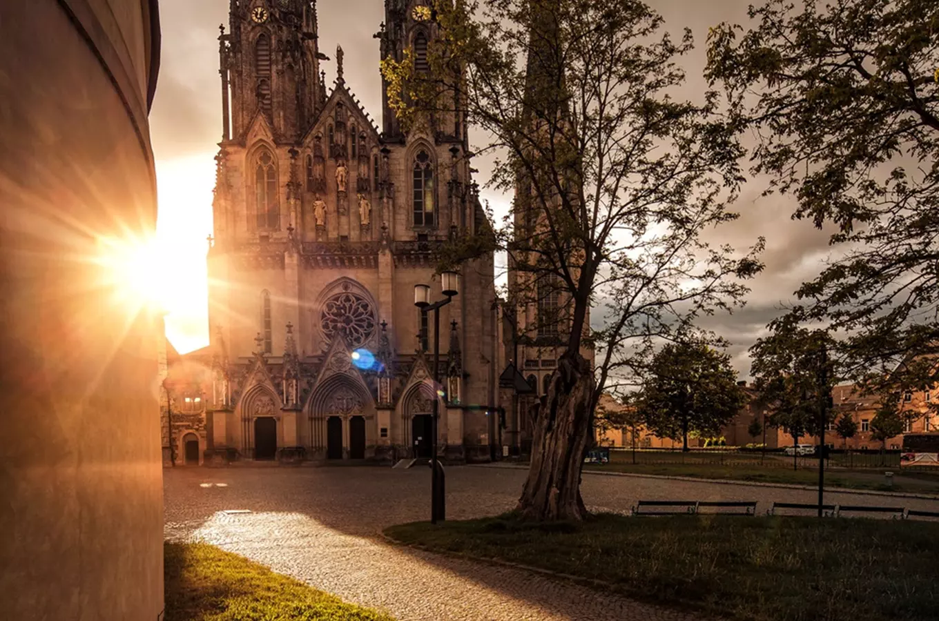 Jak poznat Olomouc za jeden den