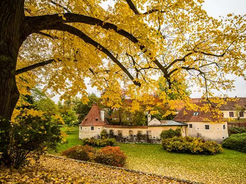 10 tipů na nejkrásnější fotomísta Třeboně