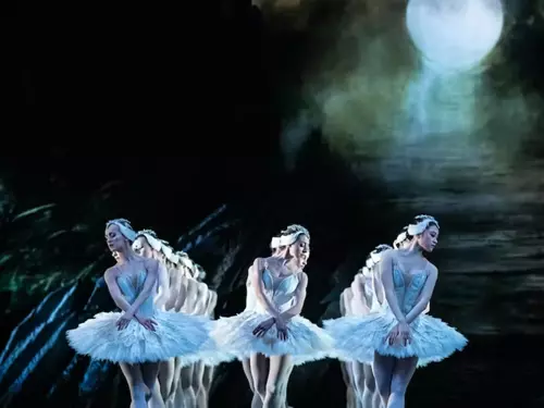 ROYAL LONDON BALLET - LABUTÍ JEZERO