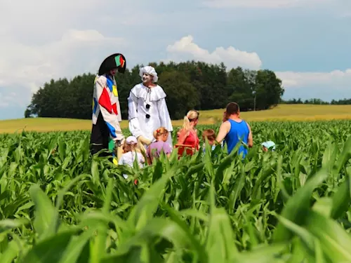 Na jihu Čech děti čeká do konce srpna kukuřičné bludiště
